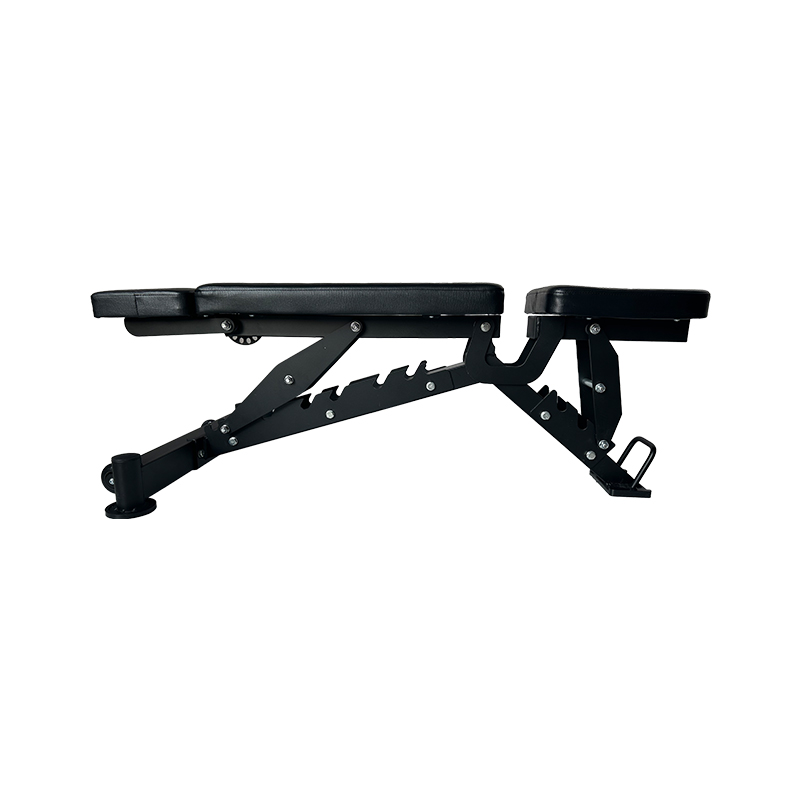 Bangku Dumbbell Komersial Mult - Home Gym Bench ulasan dan harga